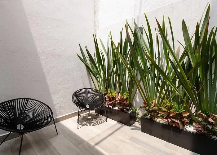 Super Loft Corazon Polanco * Mexico City